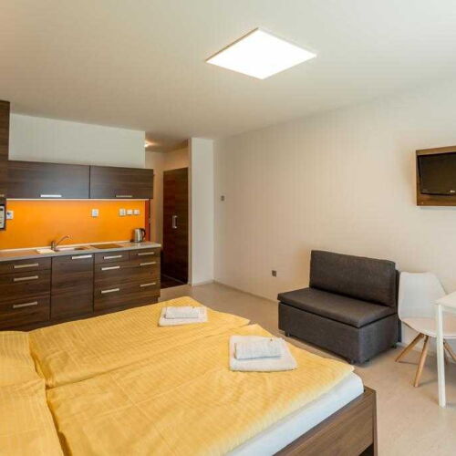 Pokoj se sprchou s vlastní kuchyňkou pro 2 os. (s možností přistýlky)