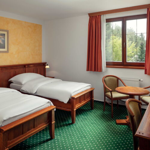 Pokój 2-osobowy typu Twin z prysznicem