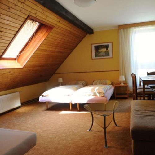 2-Room Apartment for 5 Persons with Shower and Kitchenette (extra bed available)