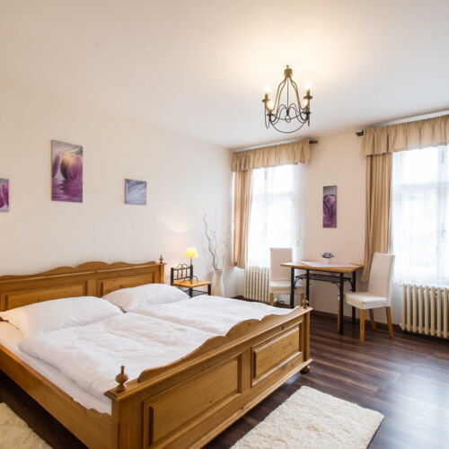 Camera dubla cu baie cu duș (se poate solicita pat suplimentar)