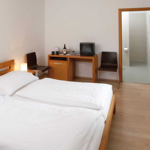 Pokoj se sprchou  s manželskou postelí (s možností přistýlky)