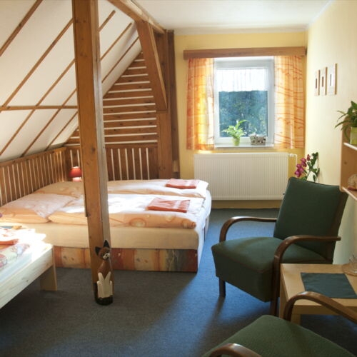 Pokoj se sprchou  pro 3 os.