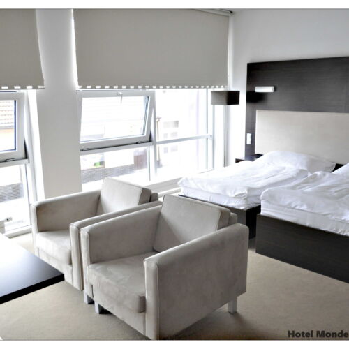 Camera twin standard cu duș (se poate solicita pat suplimentar)