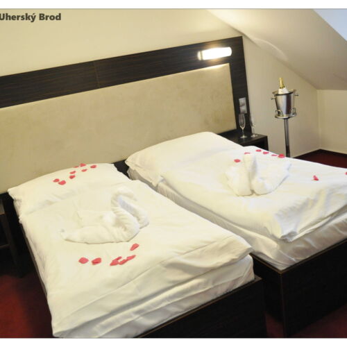 Camera single cu duș cu aer condiționat