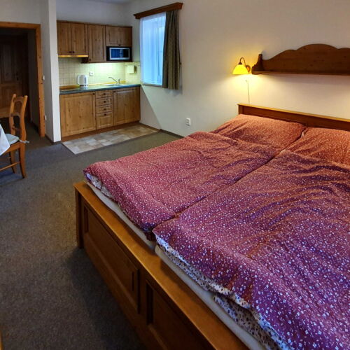 Camera twin cu duș cu chicinetă proprie (se poate solicita pat suplimentar)