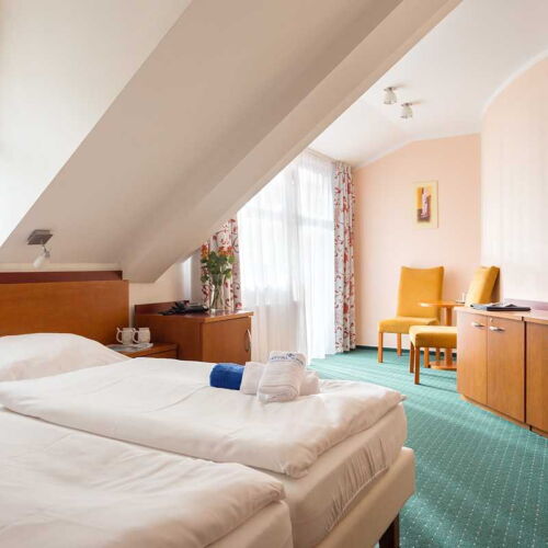 Superior Apartman s klimatizací s manželskou postelí s 1 ložnicí (s možností přistýlky)