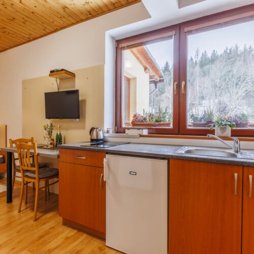 Apartman se sprchou s vlastní kuchyňkou pro 2 os.