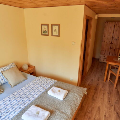 Pokoj se sprchou  s manželskou postelí (s možností přistýlky)