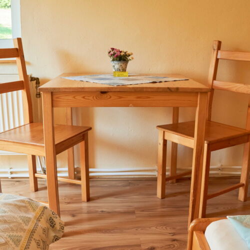 Pokoj se sprchou  pro 3 os. (s možností přistýlky)