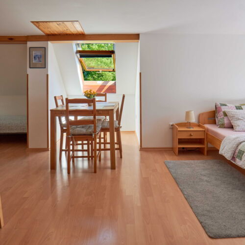 Apartman se sprchou s vlastní kuchyňkou pro 4 os. se 2 ložnicemi