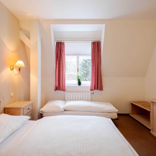 Standard Pokoj s koupelnou s manželskou postelí (s možností přistýlky)