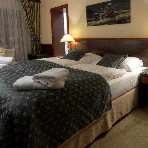 Pokój 1-osobowy Standard z prysznicem