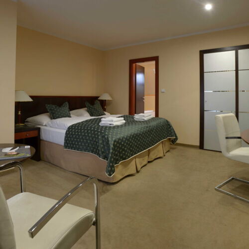 Pokój 2-osobowy Standard z prysznicem