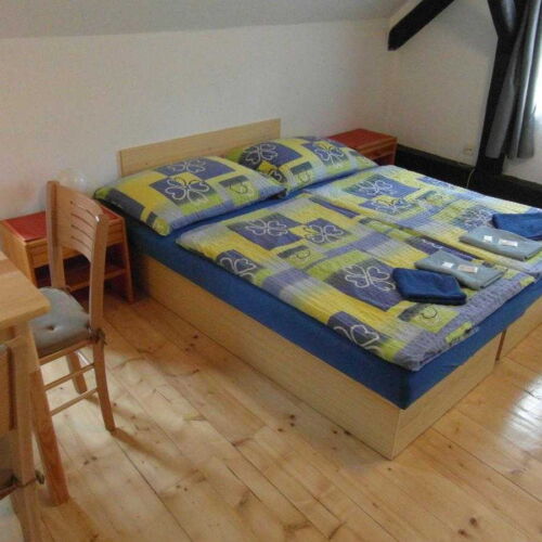 Pokoj se sprchou  pro 3 os.