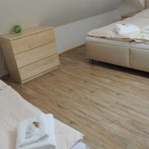 Pokoj se sprchou  pro 3 os.