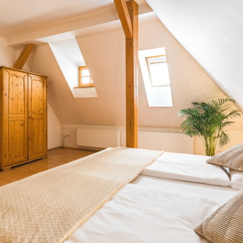 Pokoj s vanou  s manželskou postelí