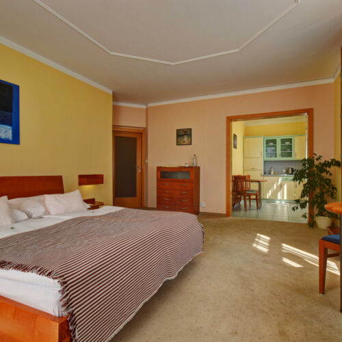 Apartament 2-osobowy Studio z 1 pomieszczeniem sypialnianym