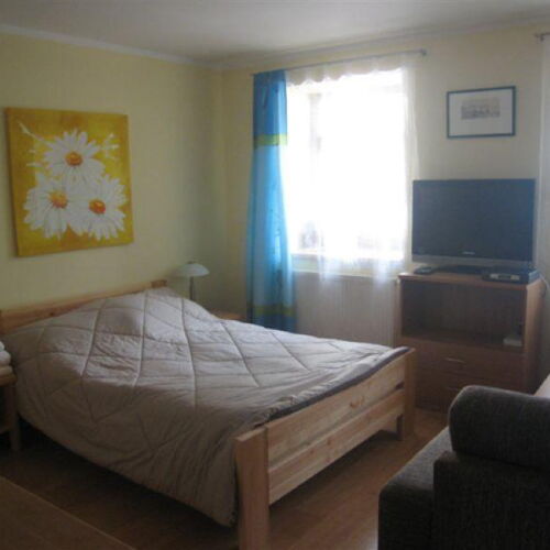 Studio Apartman se sprchou s manželskou postelí s 1 ložnicí (s možností přistýlky)