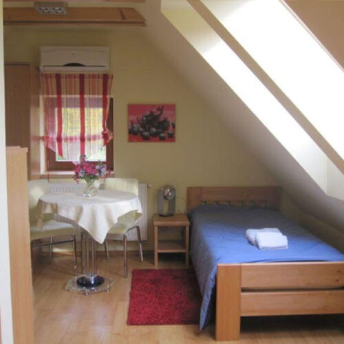 Pokoj se sprchou  pro 2 os.