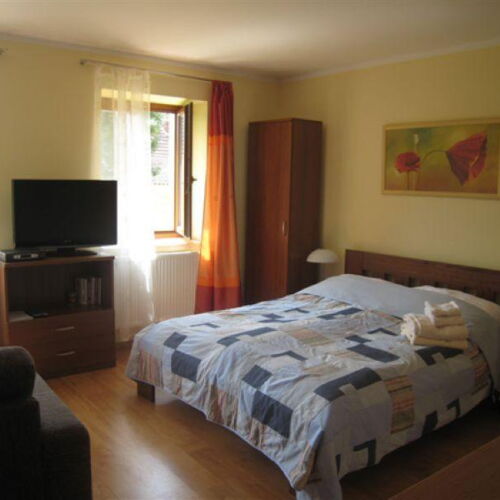 Studio Apartman se sprchou s manželskou postelí s 1 ložnicí (s možností přistýlky)