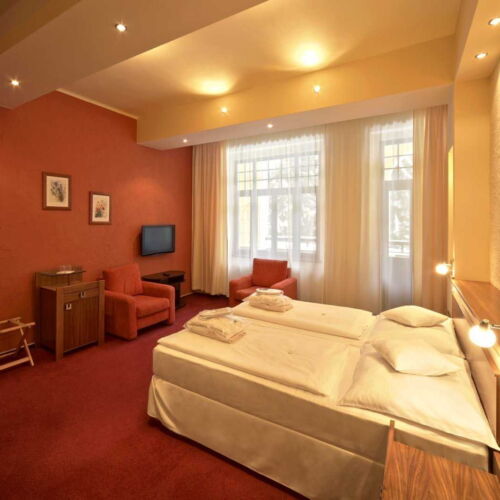 Standard  Pokoj s manželskou postelí