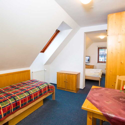 Camera tripla cu duș