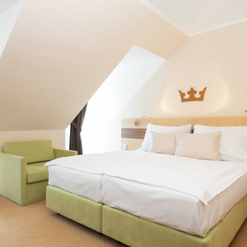 Superior Pokoj se sprchou pro 2 os.