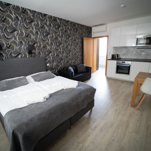 Apartament 2-osobowy z prysznicem z aneksem kuchennym z 1 pomieszczeniem sypialnianym (możliwa dostawka)