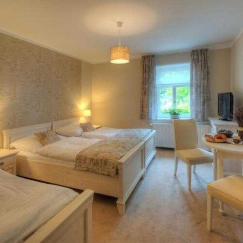 Camera twin standard cu duș (se poate solicita pat suplimentar)