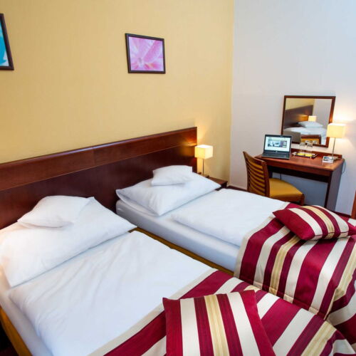 Pokoj s klimatizací se sprchou s manželskou postelí