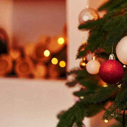 Camera twin cu duș (se poate solicita pat suplimentar)