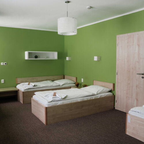 Camera tripla cu duș (se poate solicita pat suplimentar)