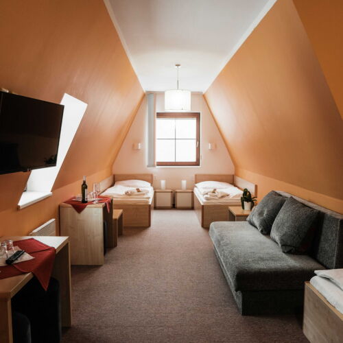 Camera cvadrupla cu duș