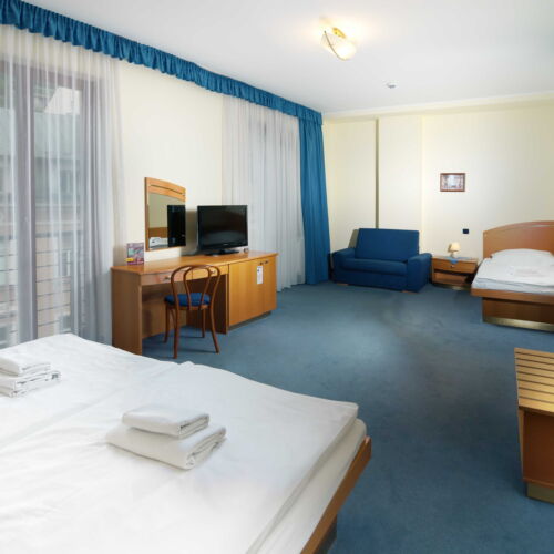 Standard Pokoj se sprchou pro 3 os.