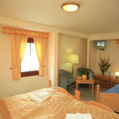 Pokoj se sprchou  pro 3 os.