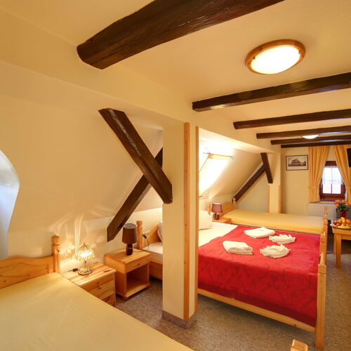 Pokoj se sprchou  pro 5 os.