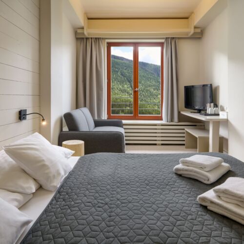 Camera dubla cu duș (se poate solicita pat suplimentar)