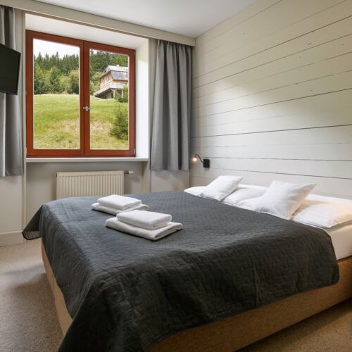 Camera dubla standard cu duș