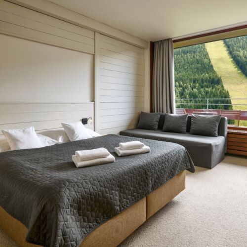 Camera dubla deluxe cu duș (se poate solicita pat suplimentar)