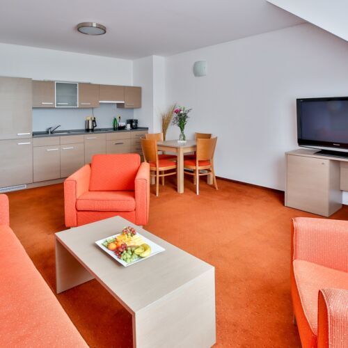 Apartman se sprchou s vlastní kuchyňkou pro 2 os. s 1 ložnicí (s možností přistýlky)