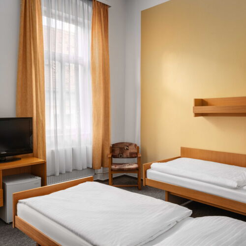 Standard Pokoj s koupelnou pro 2 os.