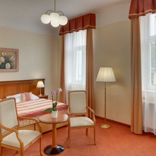 Superior Pokoj se sprchou s manželskou postelí