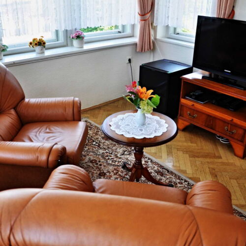 Apartman s klimatizací se sprchou s manželskou postelí s 1 ložnicí (s možností přistýlky)