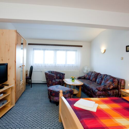 Pokoj se sprchou s vlastní kuchyňkou s manželskou postelí