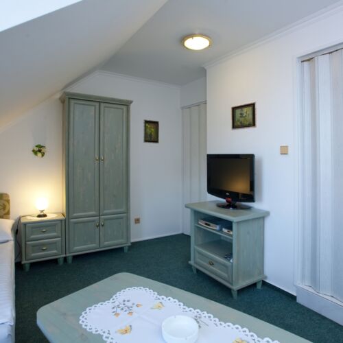 Pokoj se sprchou s vlastní kuchyňkou pro 1 os.