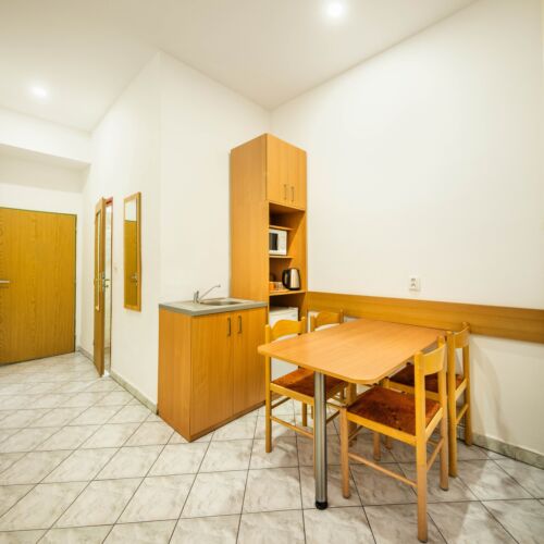 1-Room Apartment for 4 Persons with Shower and Kitchenette