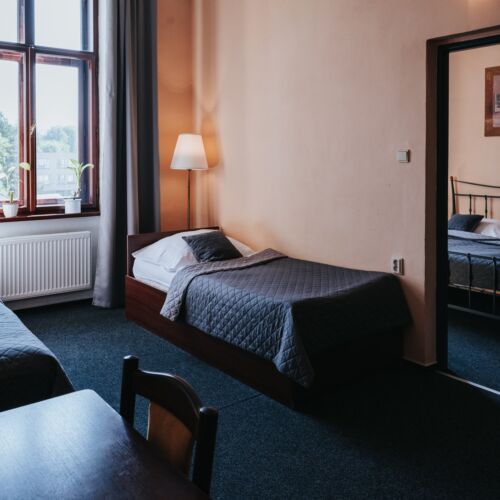 Camera tripla economy cu duș