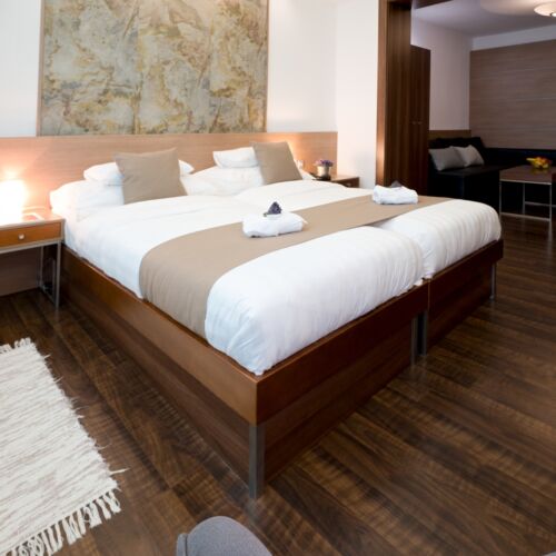 Camera dubla cu duș