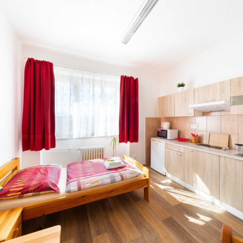 Pokoj se sprchou  pro 1 os.