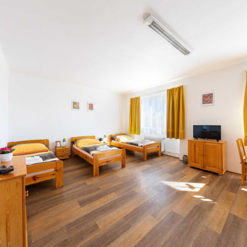 Pokoj se sprchou  pro 3 os.